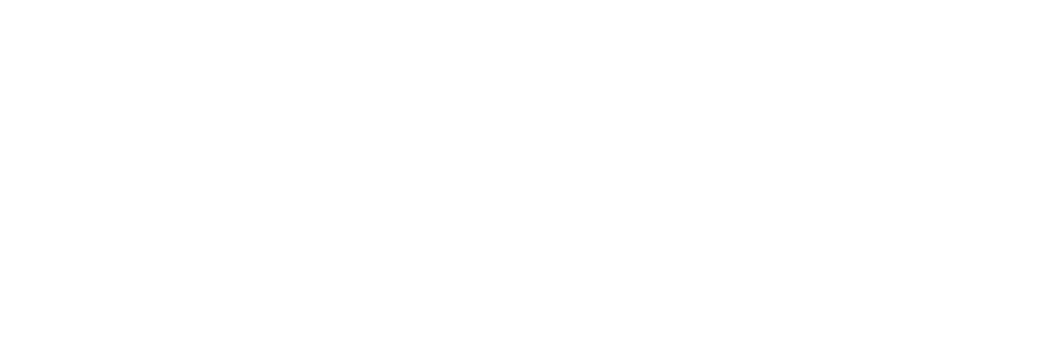 RAVIT Co. official logo